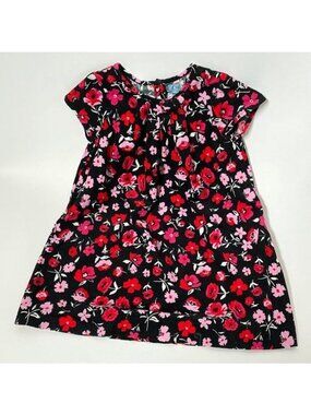 Baby Gap Floral Dress - sz 5 yrs
